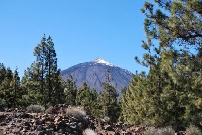 Vulkanlandschaften und Naturwunder: Der Teide Nationalpark im Fokus